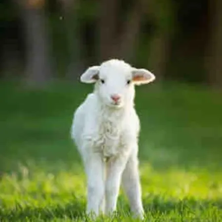 Lägenhet Simon, Piso Nuevo Con Piscina 2024 San Juan de Aznalfarache